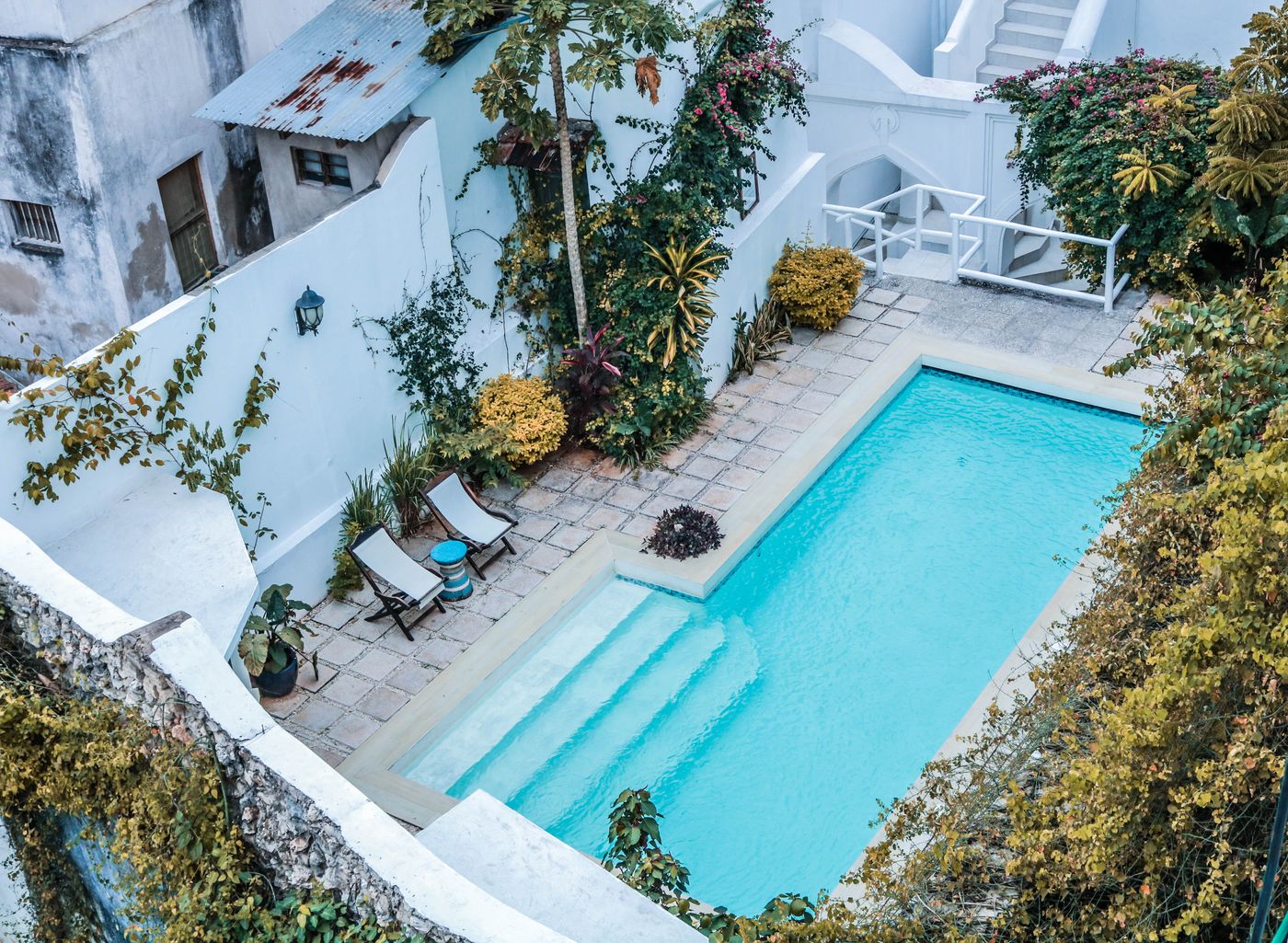 Residential pool with a paver-style deck and tropical landscaping — illustrative example of pool decking, not a verified CFPS project